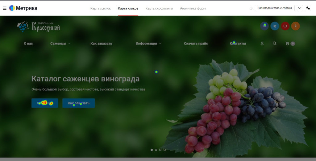 Карта кликов интернет-магазина «Виноград Красохина». Сделано в «ADM-Центр».png