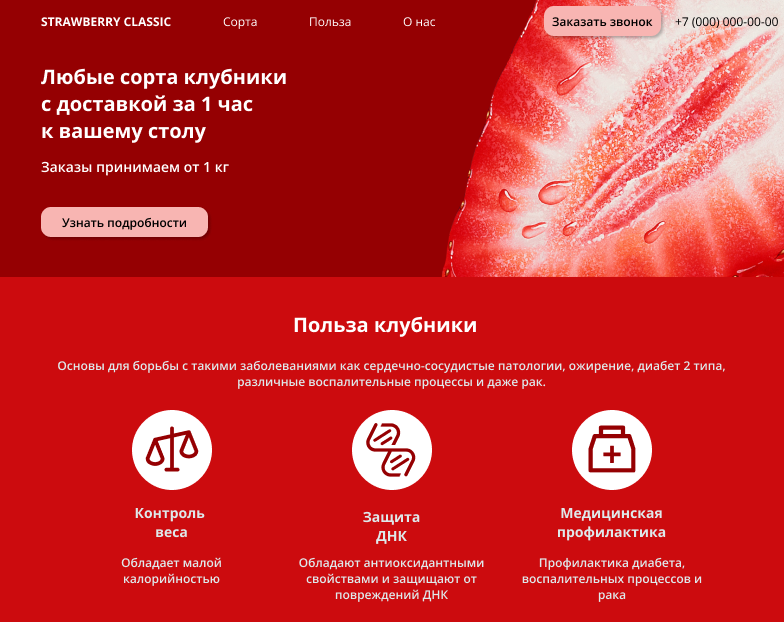 Пример информационного лендинга.png