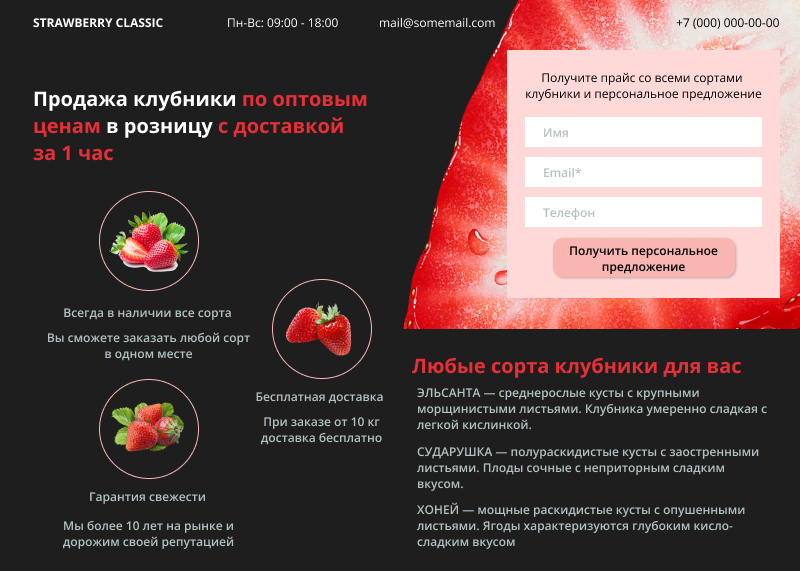 Микролендинг фото.png